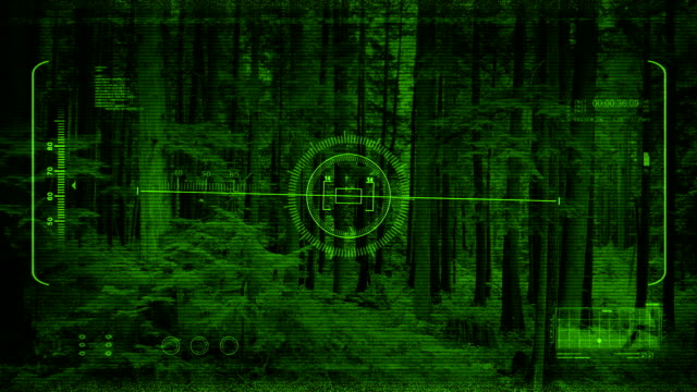 Night-Vision-POV-Moving-Through-Forest