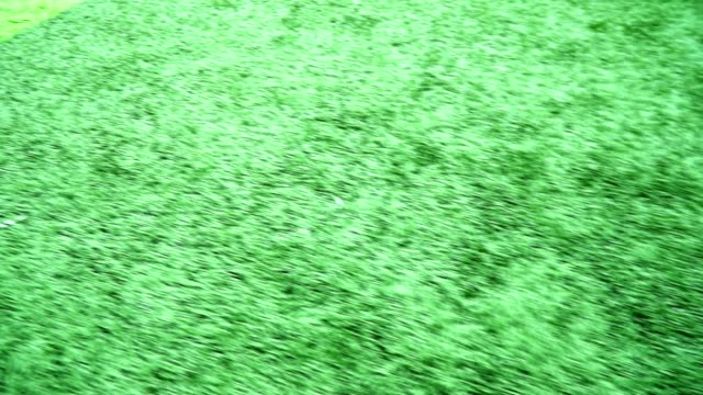 Jugadores-de-fútbol-practican-fútbol-en-césped-verde.