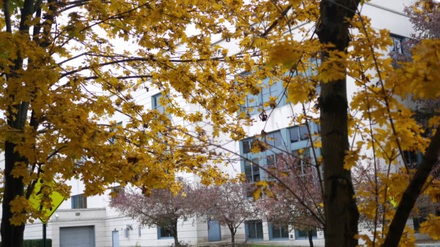Establishing-shot-of-a-corporate-building-as-seen-during-autumn-through-fall-leaves