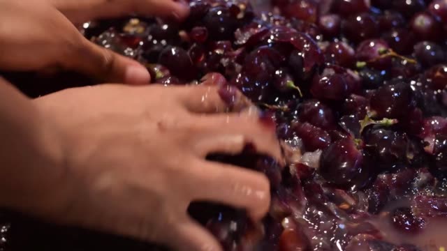 Frutas-uva-Inicio-procesamiento-de-vino-completa-trituración-de-la-fruta-con-las-manos-desnudas