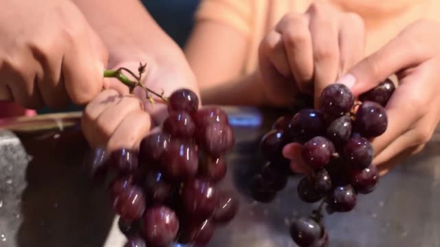 Frutas-uva-Inicio-procesamiento-de-vino-completa-trituración-de-la-fruta-con-las-manos-desnudas