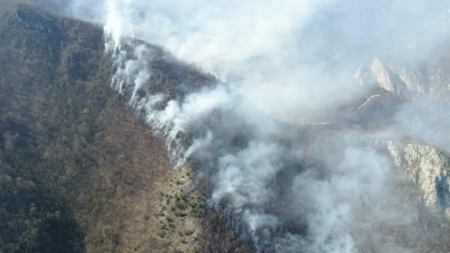 A-moving-aerial-footage-of-thick-smoke-in-the-woods