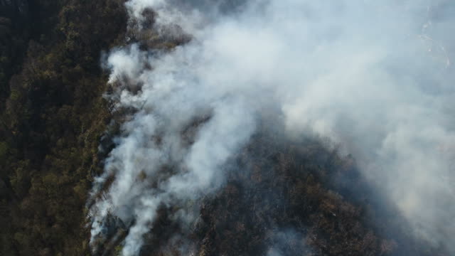 Aerial-footage-of-a-flared-up-woods-covered-in-thick-smoke