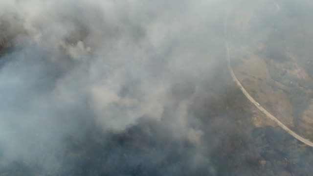 Aerial-footage-of-thick-smoke-coming-from-the-woods-with-a-road-next-to-the-woods...