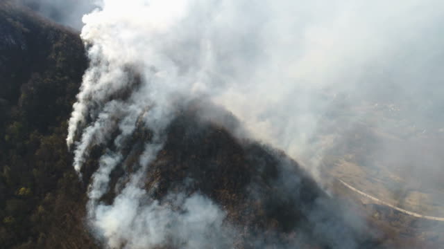 Aerial-footage-of-thick-smoke-coming-from-the-woods