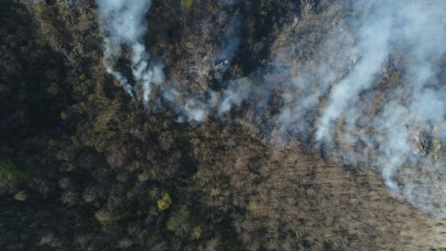Aerial-footage,-the-fire-is-smoldering-in-the-woods...