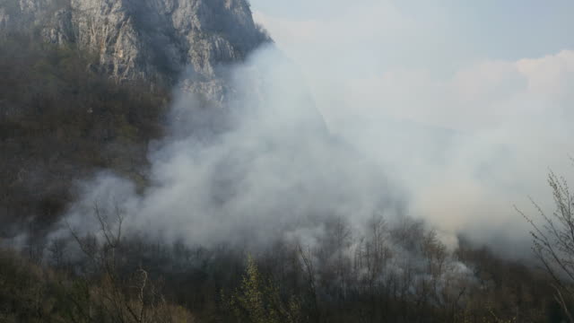 Aufnahmen-von-Wald-bedeckt,-in-dichten-Rauch