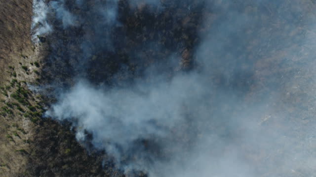 Una-antena-vertical-tiro-mostrando-los-bosques-en-humo