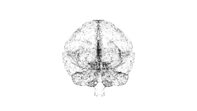 Digital-artificial-intelligence-of-the-brain-from-polygons-on-white-background