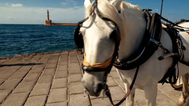 Paseo-marítimo-de-Chania,-Creta,-Grecia