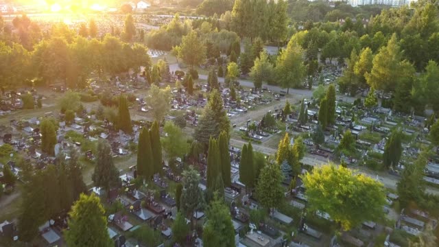 Antenne-des-Friedhof-mit-Bäumen-bei-Sonnenuntergang