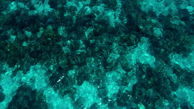 Background.-Turquoise-water-with-underwater-reefs.-Sun-glare.