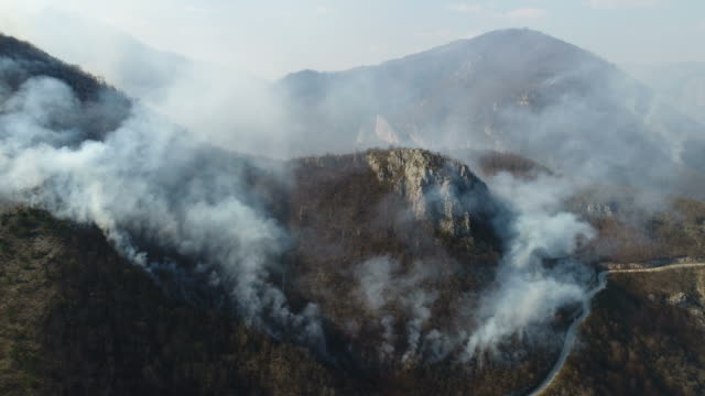 A-moving-aerial-shot-of-thick-smoke-in-the-woods-covering-the-whole-area