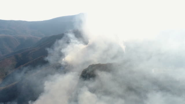Luftaufnahmen-von-Wald-bedeckt,-in-Rauch