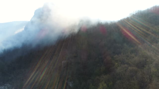 Aerial-footage-of-the-woods-covered-in-smoke