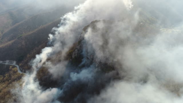 Imágenes-aéreas-del-humo-grueso-cubierto-de-bosques,-la-cámara-va-a-través-del-humo