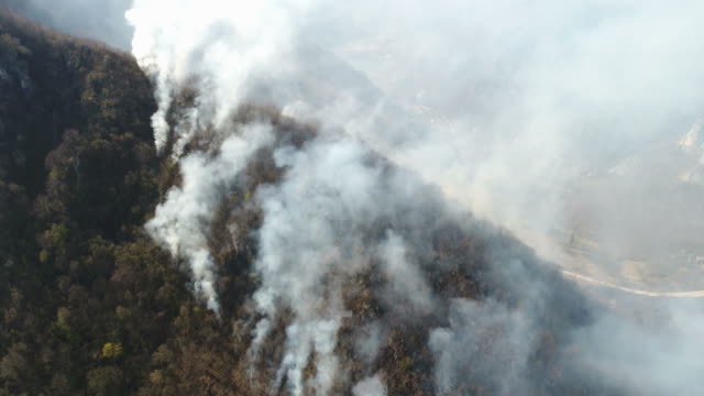 An-aerial-and-moving-shot-showing-the-woods-in-flame,-thick-smoke-covering-the-area