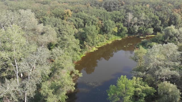 Flussbett---Draufsicht-von-Drohne
