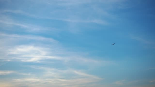 Airplane-flying-in-sky.