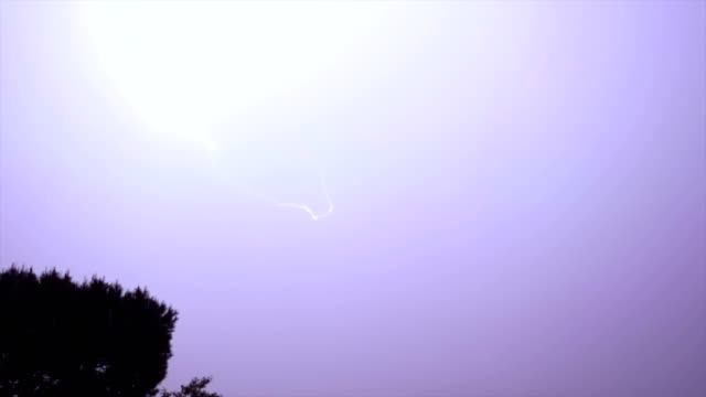 Lightning-Night-Silhouette-Tree