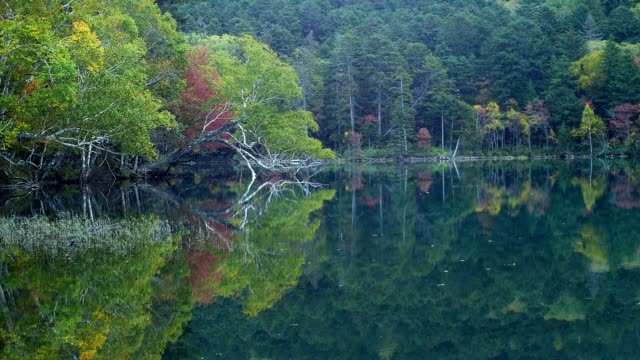 Lago-Onneto,-el-Parque-Nacional-Akan,-Hokkaido,-Japón.