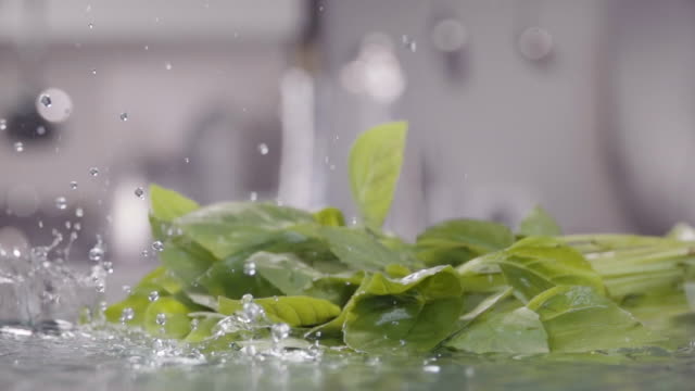 Falling-of-green-basil-into-the-water.-Slow-motion-240-fps