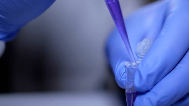 Close-up-of-hands-of-scientist-in-gloves-holding-pipette-and-pouring-solutions-into-test-tube.-GMO.-DNA.-Medical-worker-.-Student-used-laboratory-vessels-in-experiments.-Work-in-the-laboratory