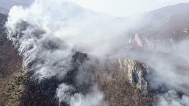 A-moving-aerial-shot-of-thick-smoke-in-the-woods-covering-the-whole-area
