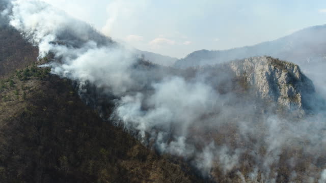 Aerial-footage-of-a-flared-up-woods-covered-in-thick-smoke