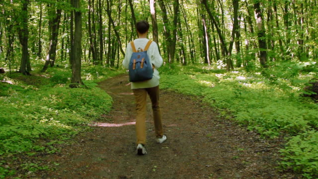 Mujer-de-excursionista-con-mochila,-caminar-en-el-bosque.