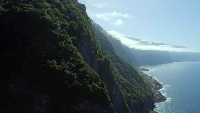 Dschungel-der-Insel-Madeira-an-der-Küste