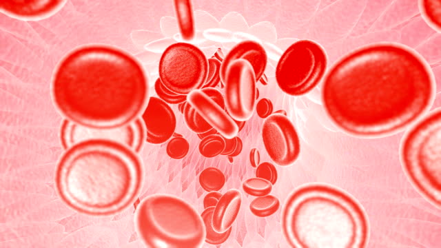 Blutkörperchen-durch-eine-Vene-zu-reisen