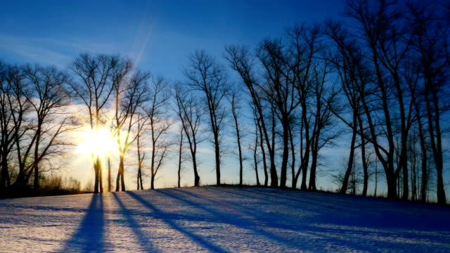 Sunset-in-the-winter-forest