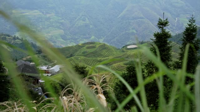The-Longji-Rice-Terraces