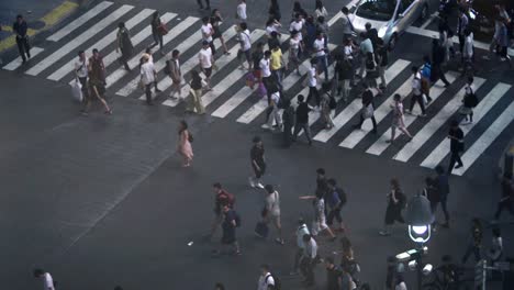 Elevated-High-Angle-Shot-of-the-People-Walking-on-Pedestrian-Crossing-of-the-Road.-Big-City-Crosswalk-in-the-Evening.-With-Polite-Pedestrians-and-Drivers.