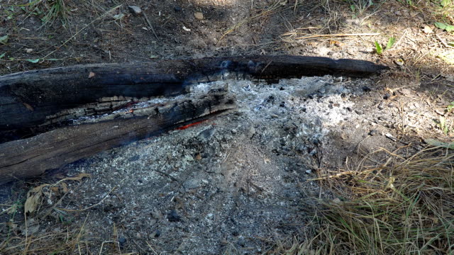 Holzscheite-schwelen-über-dem-erloschenen-Feuer