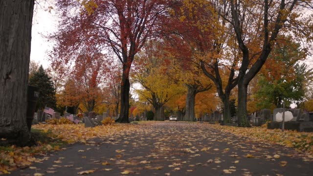 Car-drives-through-autumn-cemetery-towards-camera