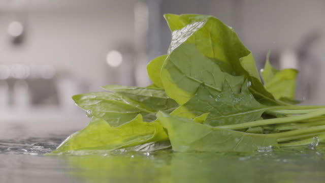 Falling-of-spinach-into-the-water.-Slow-motion-240-fps