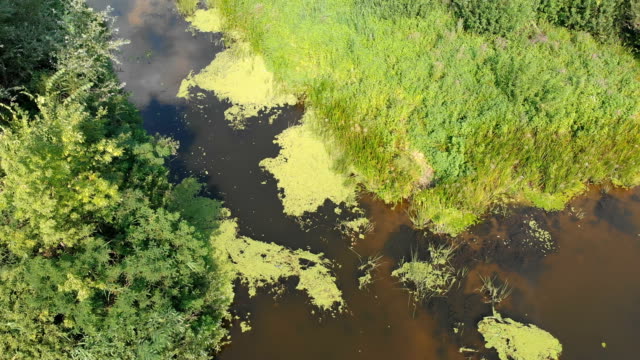 Flussbett---Draufsicht-von-Drohne