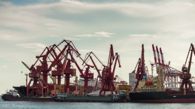 day-light-shenzhen-city-working-port-industrial-cranes-bay-panorama-4k-time-lapse-china