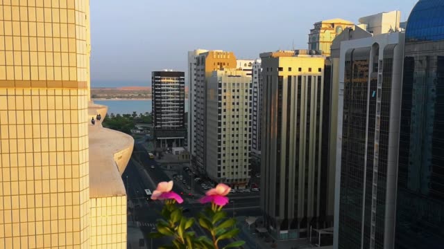 A-beautiful-sunset-in-the-city.-relaxing-view-from-a-balcony-with-beautiful-flowers-and-birds