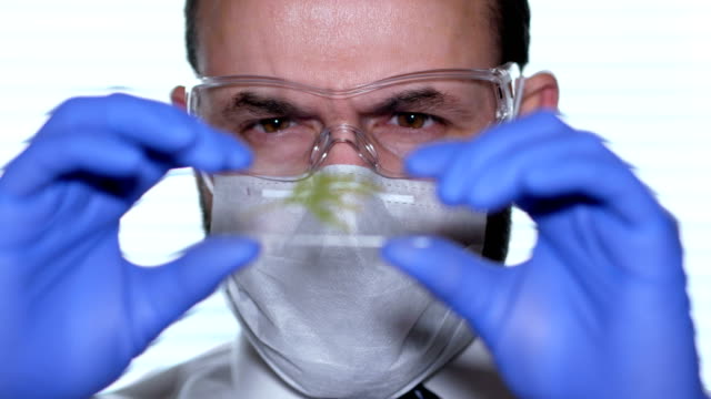 Biólogo-analiza-la-muestra.-Ciencia,-biología,-ecología.-Profesional-científico-con-máscara-protectora-trabajan-con-muestras-de-la-hierba-en-su-laboratorio.-Científico-hombre-mirando-a-la-hoja-de-la-planta-en-portaobjetos-de-vidrio.