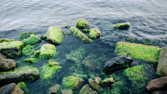 Waves-crash-into-moss-covered-rocks.-Slow-Motion