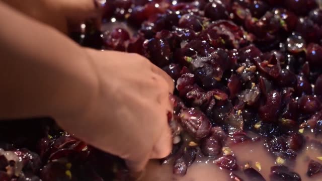 Grapes-fruits-home-wine-processing-thorough-crushing-of-fruit-with-bare-hands