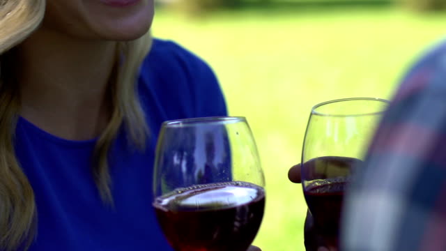 Mixed-race-couple-talking-and-clinking-glasses-with-red-wine,-date,-close-up