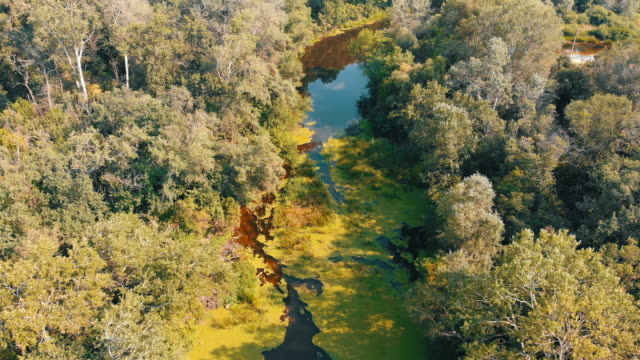River-Bed---top-view-from-drone