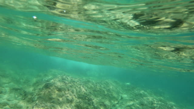Tauchen-Unterwasser-4k