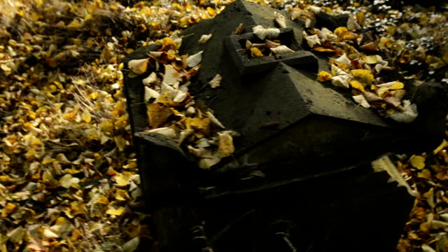 Abandonado-el-cementerio