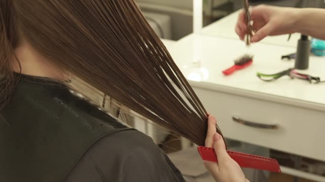 Haircutter-combing-and-cutting-long-hair-with-scissors-in-hairdressing-salon.-Close-up-hairdresser-making-female-haircut-with-scissors-in-beauty-salon