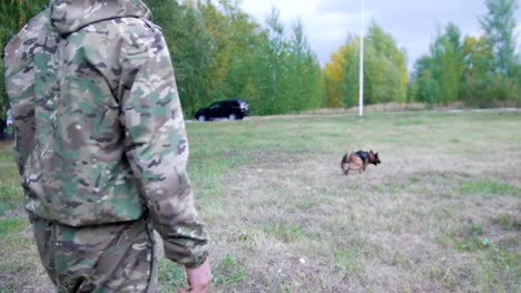 Mann-in-einem-Schutzanzug-trainiert-seinen-Schäferhund,-den-Stick-zu-fangen